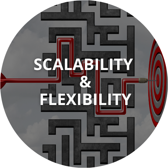ERPs grow and evolve as the startup does, therefore they provide scalability and flexibility.